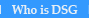 Who is DSG & Assicates